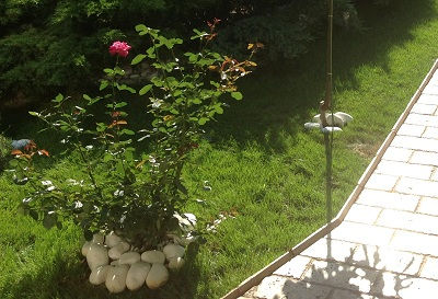 Amenajare exterior #2 – foto 3