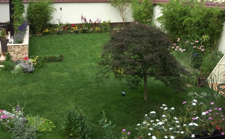 Amenajare exterior #4 – foto 5