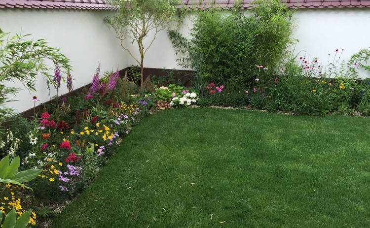 Amenajare exterior #4 – foto 6